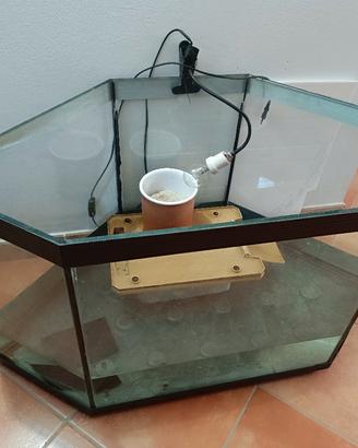 acquario angolare 220 litri