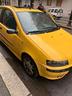 fiat-punto
