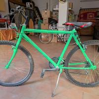 Bicicletta Mountain Bike