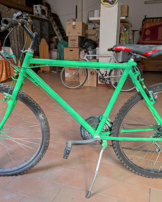 Bicicletta Mountain Bike