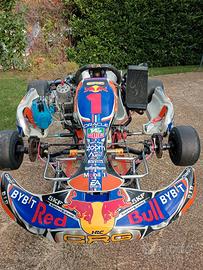 kart crg 125kz tributo Verstappen