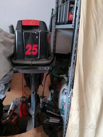 Evinrude 25 cv pezzi di ricambio
