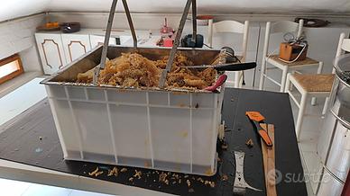 apicoltura banco per disopercolare 