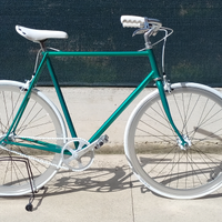 Bici fixed o da passeggio