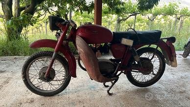 Moto Guzzi - STORNELLO - 1964