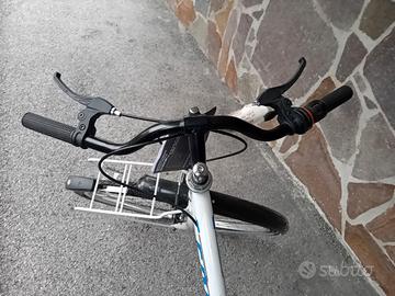 Bici da passeggio 