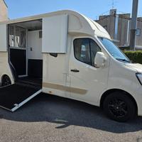 Van trasporto 2 cavalli Renault Master 180 DCI