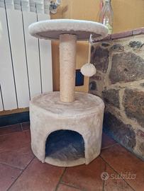 tiragraffi gatti e cuccia 