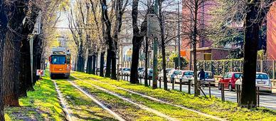 Stanza in condivisone a 300 euro-MAC MAHON