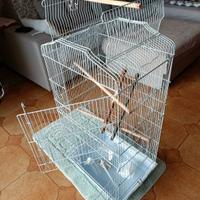 gabbia per uccellini 