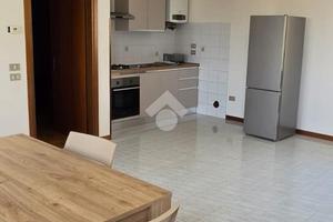 3 LOCALI A STANGHELLA