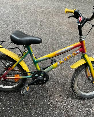 Bici Bambini 16 Pollici portapacchi e parafanghi