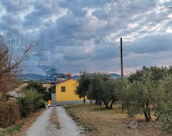 Casa nella Campagna di Serra de' Conti