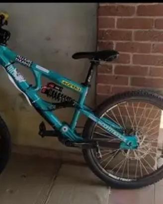 Bici enduro/downhill