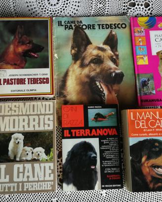 Il cane