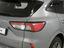 Immagine 28