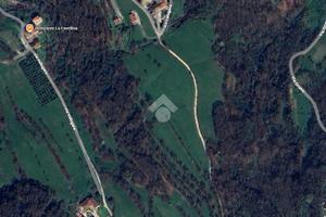 TER. AGRICOLO A MALO