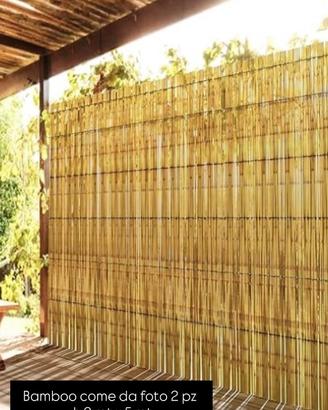 Bamboo