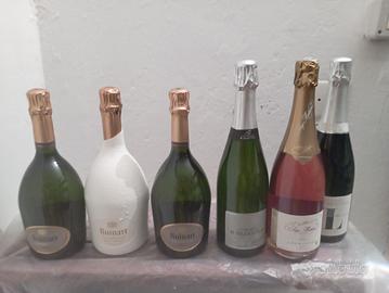 Lotto Bottiglie Champagne Vari parte 2
