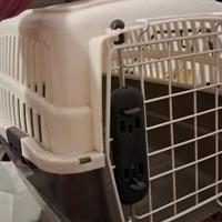trasportino per animali