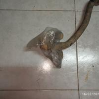 Barra stabilizzatrice Pajero V60
