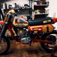 Maico mc 250