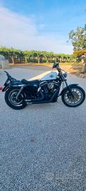 harley davidson sportster 883 r