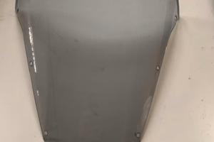 Parabrezza Yamaha FZ6