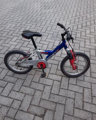 Bicicletta bambino 