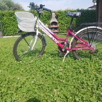 bicicletta ragazza 6 anni