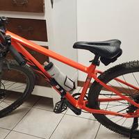 mountain bike 