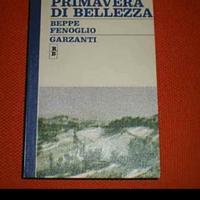 libro Fenoglio 