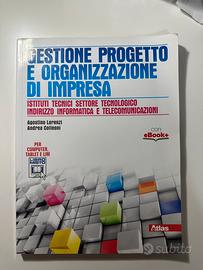 gestione progetto e organizzazione di impresa