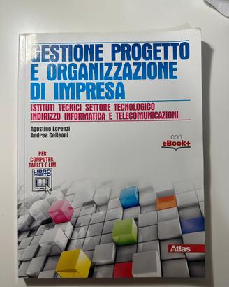 gestione progetto e organizzazione di impresa