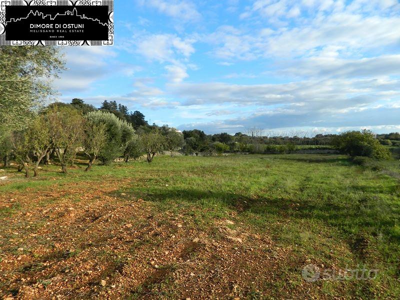 TERRENO 7000mq - POSSIBILITA' EDIFICATORIA - OSTU - Vista 2
