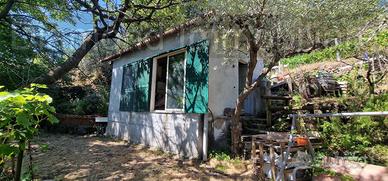 Casa con terreno a Presa Piedimonte Etneo