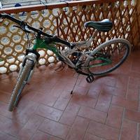 bicicletta ragazzo 26"