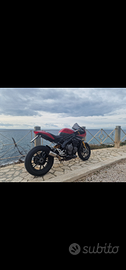 Triumph speed triple 1200 rr