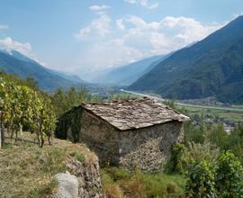 Rustico Valtellina con terreno