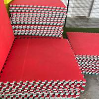 64 pezzi Tatami Trocellen Performance 4 cm