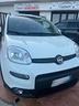 fiat-panda-1-0-firefly-s-s-hybrid-city-life