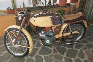 oppia di FUCHS STAMBECCO SPORT 50 cc
