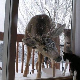 Weekend di Pasqua e Pasquetta