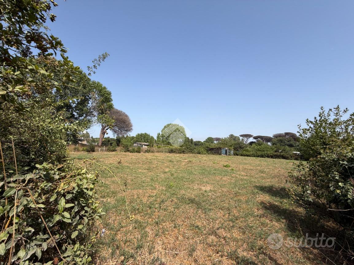 TER. AGRICOLO A ROMA - Ansicht 4