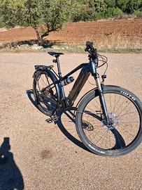 bici elettrica 