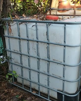 cisterna IBC 1000 lt