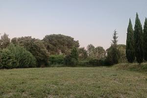 Terreno per mostra canina