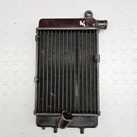 RADIATORE SINISTRO APRILIA RSV 1000 2001 2002 RSV1
