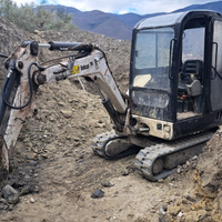 Escavatore bobcat