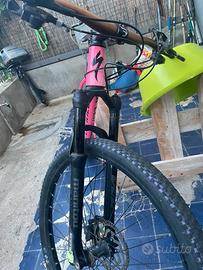 Mtb specialized